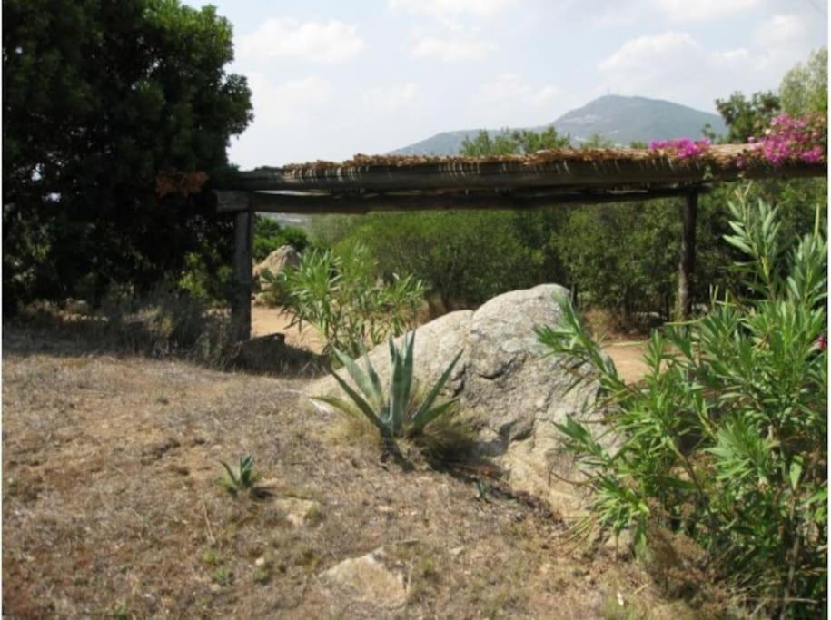 Villa Sara Olbia Exterior foto