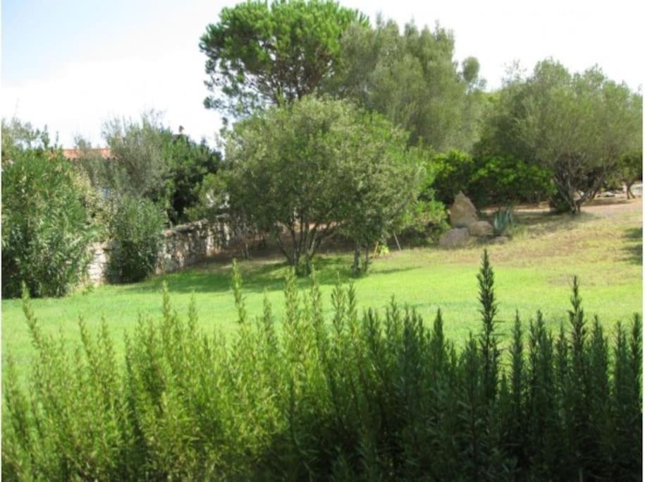 Villa Sara Olbia Exterior foto
